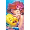 アリエル&フランダー ディズニー - アリエル&フランダー FVGA(480×800)壁紙 60095