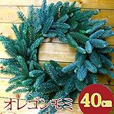 クリスマスリース 玄関 手作り 生[オレゴンモミ完成クリスマスリースベース