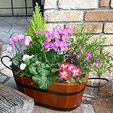 花由 大人気の寄せ植えは完成品でお届け！我が家のウェルカムガーデン（ 鉢植え 花鉢 鉢花）フラワーギフト クリスマス ミニツリー クリスマスプレゼント クリスマスギフト フラワーガーデン