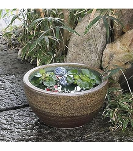 Amazon.co.jp: ADA 水鉢 睡蓮鉢 メダカ鉢 : DIY・工具・ガーデン