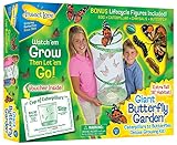 Giant Butterfly Garden