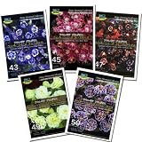 [Amazon限定][少量の宿根草種]アクイレギア（西洋オダマキ）ウィンキーシリーズ 5種セット*[花タネ]