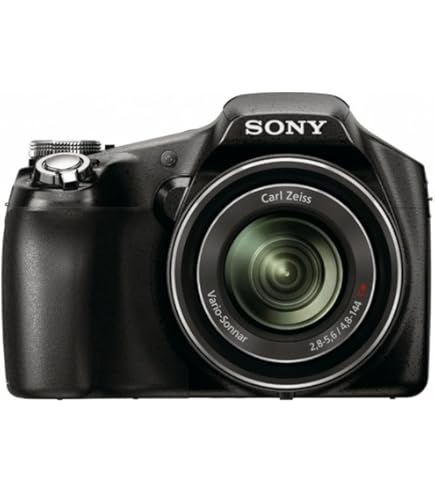 Amazon.co.jp: SONY Cyber-Shot(サイバーショット) HX10V (1820万/光学