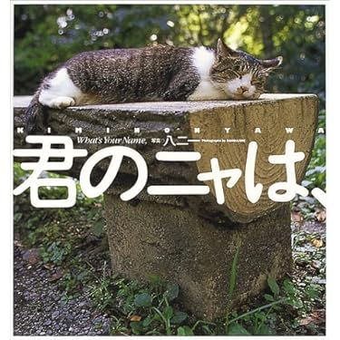 Amazon.co.jp 人気ギフトランキング: 猫 で、ギフトの設定を使用して