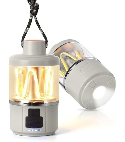 Amazon.co.jp: LOVORK ランタン キャンプライト LED 充電式 6つ調光