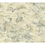 York Wallcoverings Nautical Living Coastalマップ壁紙 Wallpaper NY4837 1