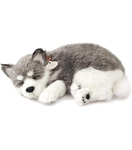 リアルなペット Amazon.co.jp: Perfect Petzzz Minis Alaskan Husky リアル 本物
