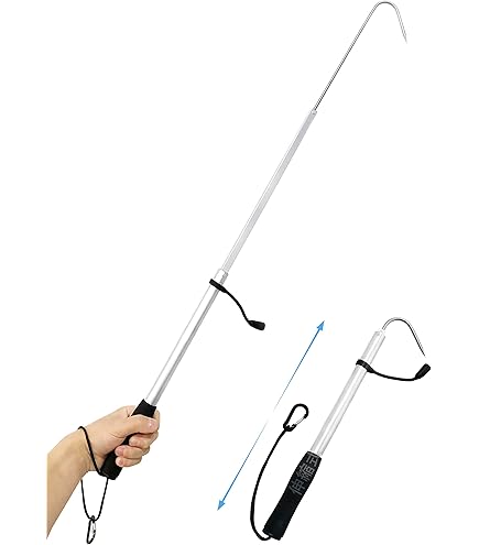 Amazon.co.jp: ダイワ(DAIWA) ギャフ スーパーギャフ S-038 : Sports