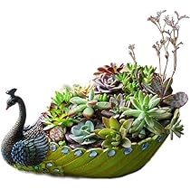 616Dp4lCcNL._AC_UL210_SR210,