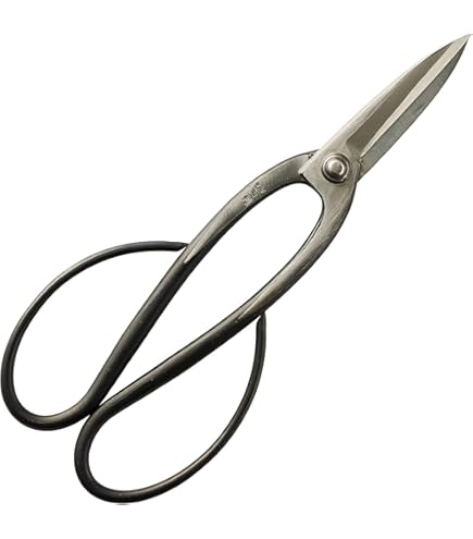 Amazon | 兼進作 盆栽道具 盆栽鋏 小枝切鋏 青紙（青鋼） 大 No