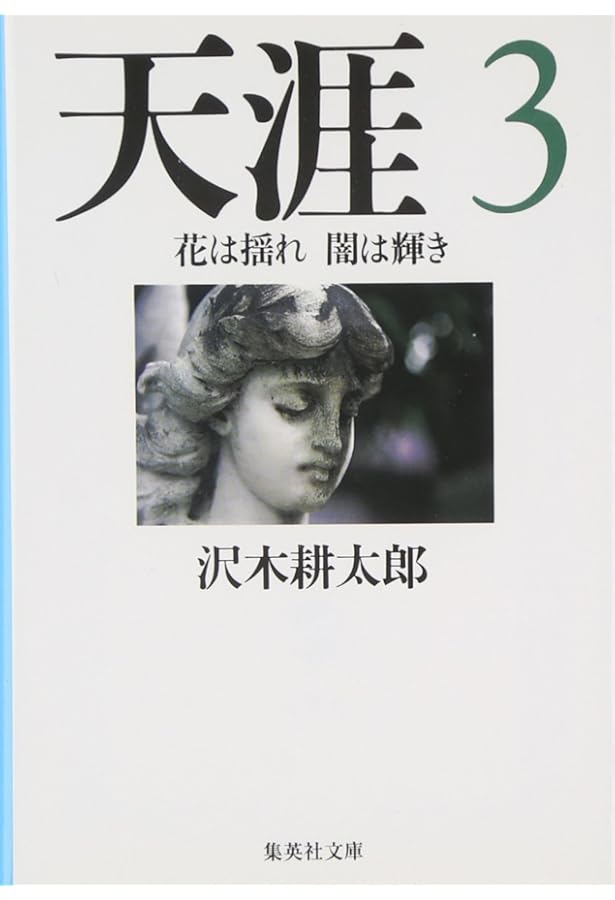 Amazon.co.jp: 天涯 1 鳥は舞い 光は流れ (集英社文庫) : 沢木 耕太郎: 本
