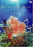 Marine Paradise Vol.1 �`�n���C�ҁ`