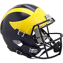 616HEOs6H9L._AC_UL210_SR210,