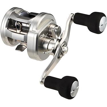 Amazon.co.jp 最新リリース: ベイトリール の新着ランキングです。