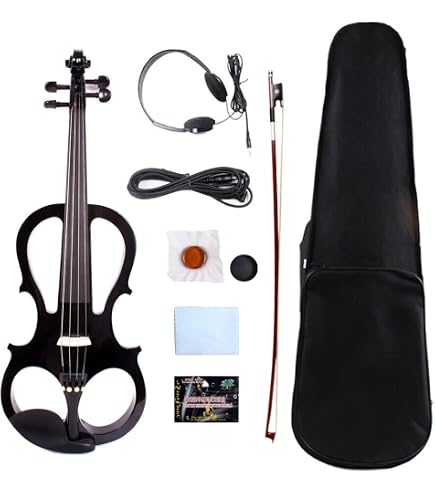 Amazon | ARTIGIANO&VIOLIN ビオラ 15インチ LiuXi工房 最上位モデル 