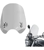 Amazon | デイトナ(Daytona) レブル1100/DCT(21-23)専用 スクリーン