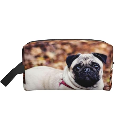 パグの小物入れ パグの小物入れ 楽天市場】パグ 小物入れの通販