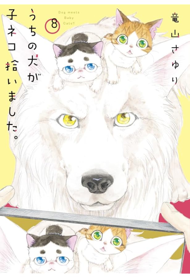 Amazon.co.jp: 金目銀目ねこ館 (1) (フラワーコミックススペシャル