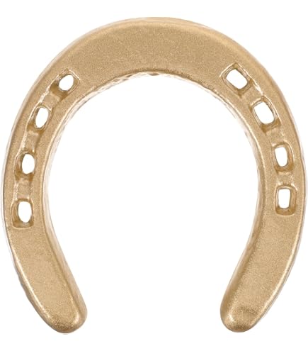 Amazon.co.jp: HOMOCONO 蹄鉄飾り 本物の蹄鉄 中古馬蹄 馬の靴 馬蹄の