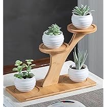 Amazon.co.jp: デスクトップ フラワースタンド,竹製多肉植物 スタンド