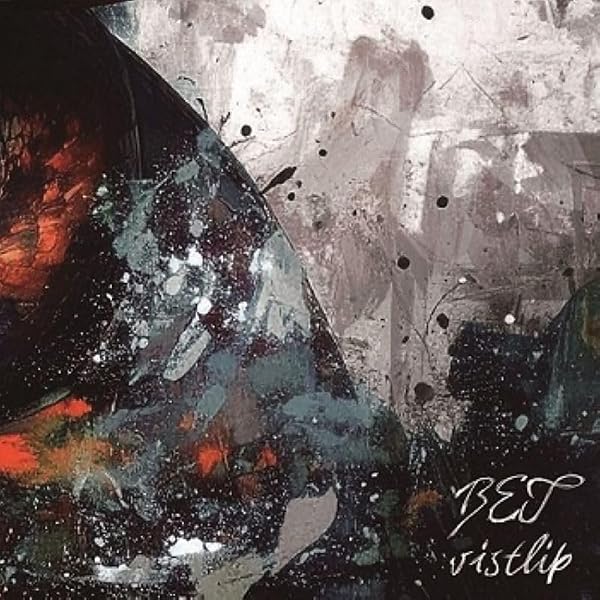 Amazon.co.jp: vistlip 10th Anniversary Live [Guns of Liberty