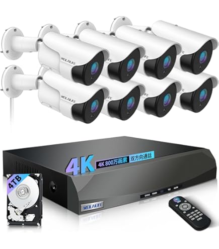 Amazon.co.jp: 【4K/800万画素・双方向通話・3TB HDD内蔵】防犯カメラ