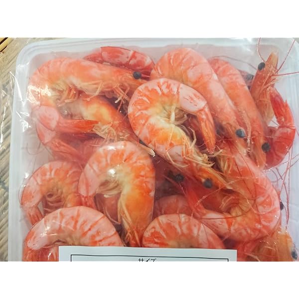生き生き海老 Amazon | 有頭 グルムキ海老 26-30 VM 1kg ( 80尾 ) ボイルえび