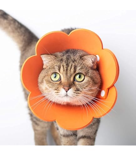 オレンジ エリザベスカラー S 犬 猫 エリザベスカラー オレンジS 首周り12〜20cm ソフト犬 傷