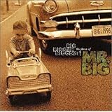 BIG,BIGGER,BIGGEST! The Best Of MR.BIG