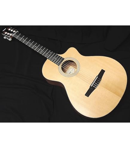 Amazon | GODIN (ゴダン) ナイロンギター エレガットギター ソリッド