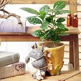 (観葉)ジブリプランターカバー トトロのお届けよいこらしょ 観葉植物セット(コーヒーの木) 本州・四国限定[生体]