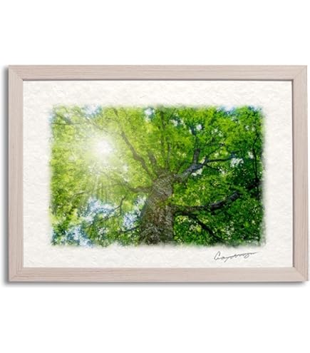 Amazon.co.jp: マリリン・シマンドル絵画額□白いフレーム・花の