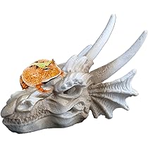 616TEN5BkiL._AC_UL210_SR210,