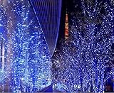 Linsam 10米100球 防水LED カーテンライト クリスマスイルミ　LED イルミネーション 屋内外装飾用　8種類点滅モード , ブルー