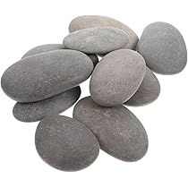 Amazon.co.jp: Toyvian 丸石 小石 魚 川 岩 平らな石 丸い石 ペイント