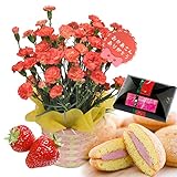 母の日 ギフト カーネーション　鉢植え　5号鉢（オレンジ） ときめいて苺ブッセ セット
