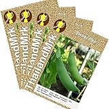 エンドウ Thai Sweet Pea Pisum sativum Fabaceae 4 Bulk ThailandMrk