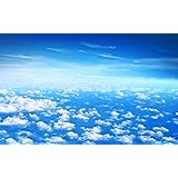 Amazon Co Jp 南国の楽園 太陽の光 ビーチ 海岸 海 ヤシの木 キャンバスの 写真 ポスター 印刷 海 90cmx60cm ホーム キッチン