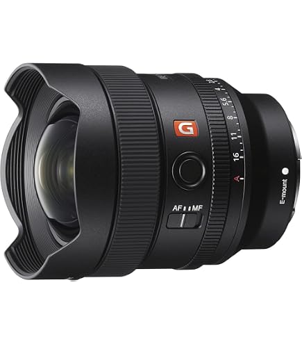 SONY FE 12-24mm F2.8 GM G Master 広角ズームレンズ