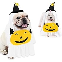 616Y4-Kp5pL._AC_UL210_SR210,