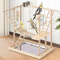 Amazon | インコ おもちゃ アスレチック 遊び場【幅47cm】止まり木