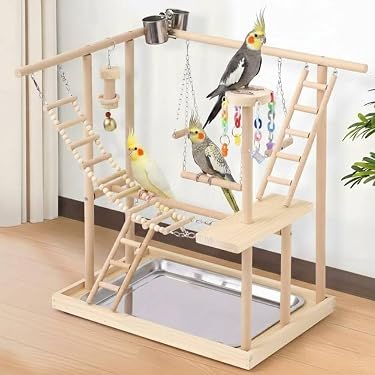 鳥用品 国産ヒノキ 鳥用止まり木 中型インコ用 スタンド 約100センチ