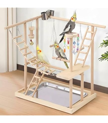 Amazon | バードアスレチック 鳥アスレチック 止まり木 パーチ 天然木