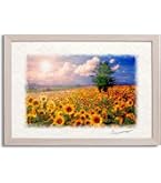 Amazon.co.jp: 絵画 ひまわり 黄色い花 「Sunny Day」 風景 インテリア