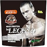 ビーレジェンド HOT プロテイン チョコレート風味 チョコ チョコレート ホット WPC ビタミン 国内製造 400g