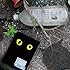 黒猫チェルシー「猫Pack(通常盤)」