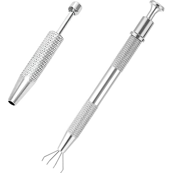 Amazon.co.jp: BARCUS BERRY (バーカスベリー) アコースティックギター