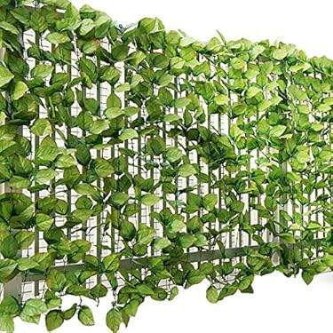 Amazon.co.jp 売れ筋ランキング: グリーンカーテン の中で最も人気の