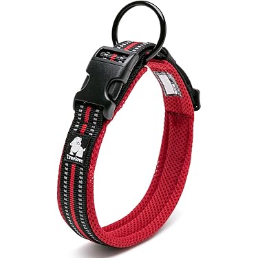 Amazon.co.jp ほしい物ランキング: 犬用ベーシック首輪 で、ほしい物