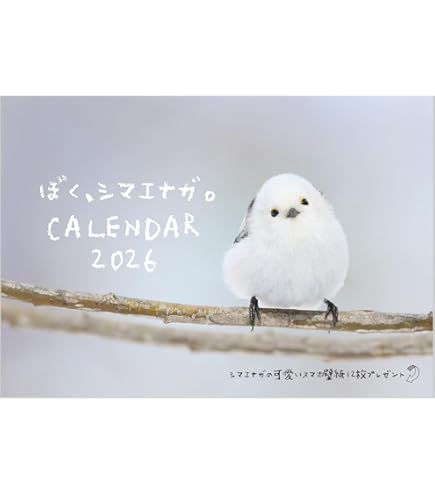 Amazon | ぼく、シマエナガ。 2026 壁掛け カレンダー A4 | カレンダー